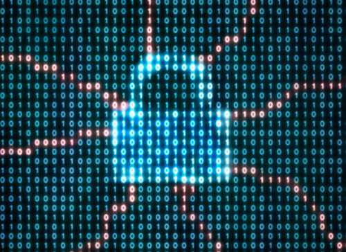 Crack in the Code