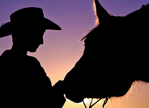 Howdy Partner