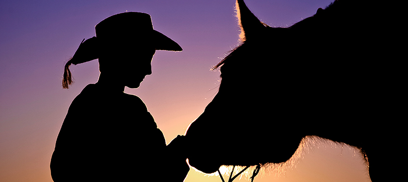Howdy Partner